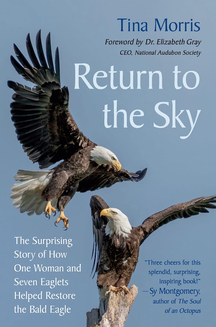 The Return to the Sky cover