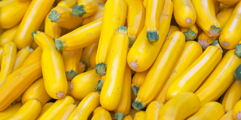 Squash