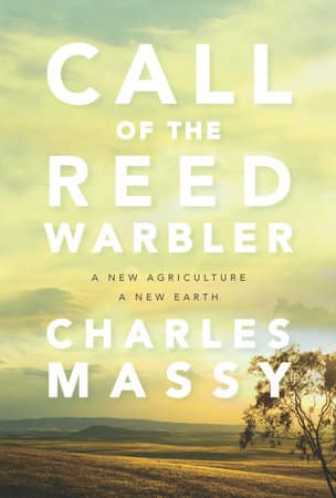 Call of the Reed Warbler Call of the Reed Warbler