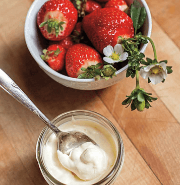 yogurt