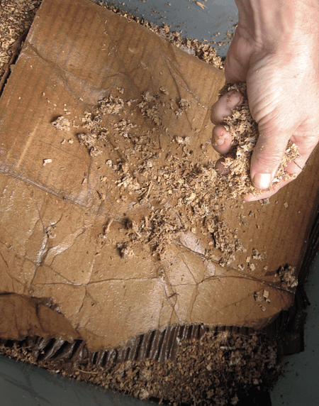 recycling mushrooms