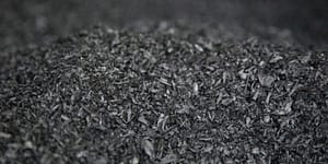 biochar