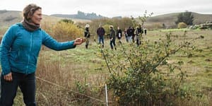 Sarah Keiser from the Penngrove Community Grazing Project inspects a young oak