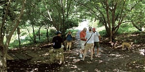 people in community garden