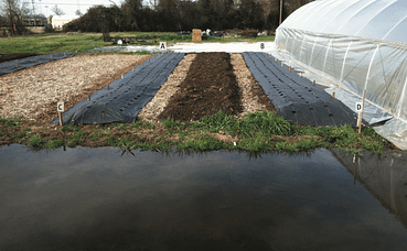 greenhouse on a slope