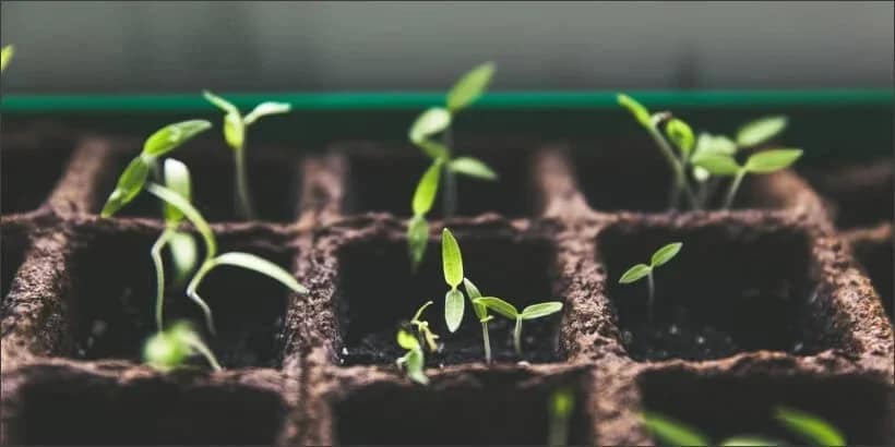 growth_banner_bannersnack growth_banner_bannersnack