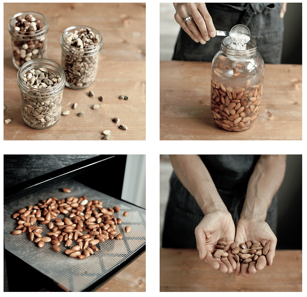pumpkin seeds