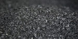 biochar