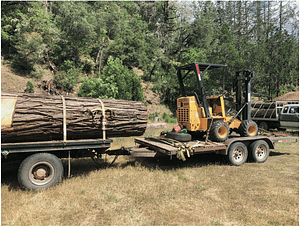 wood for bee hive