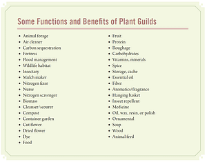 plant guild