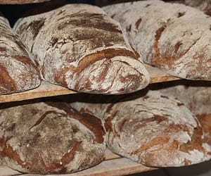 wood-fired oven
