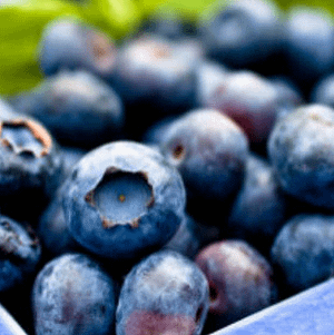 blueblerries