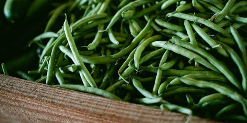 green beans_bannersnack green beans