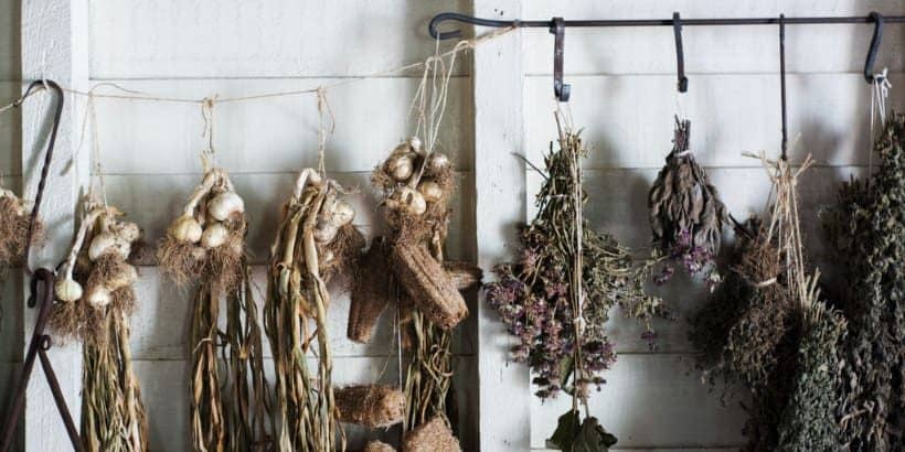 DryingFlowers_Bannersnack-Max-Quality drying flowers