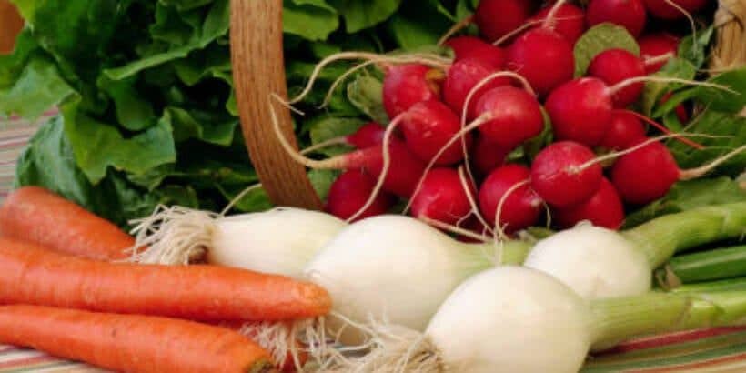 InterplantMix-panorama vegetables