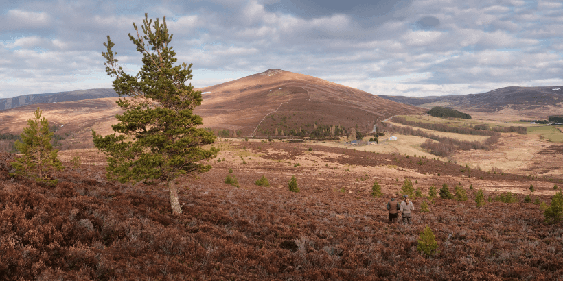 Lynbreck_OurWildFarmingLife_book Lynbreck_OurWildFarmingLife_book