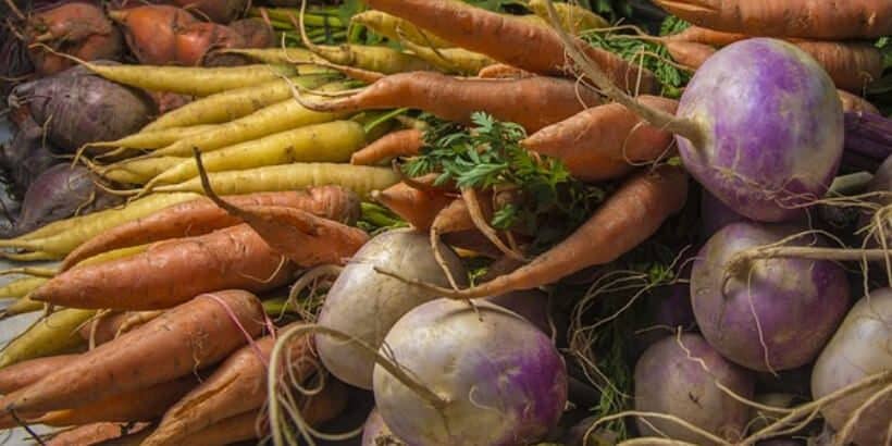 Root Vegetables_BannerSnack Carrots, Turnips, Parsnips, and other Root Veggies