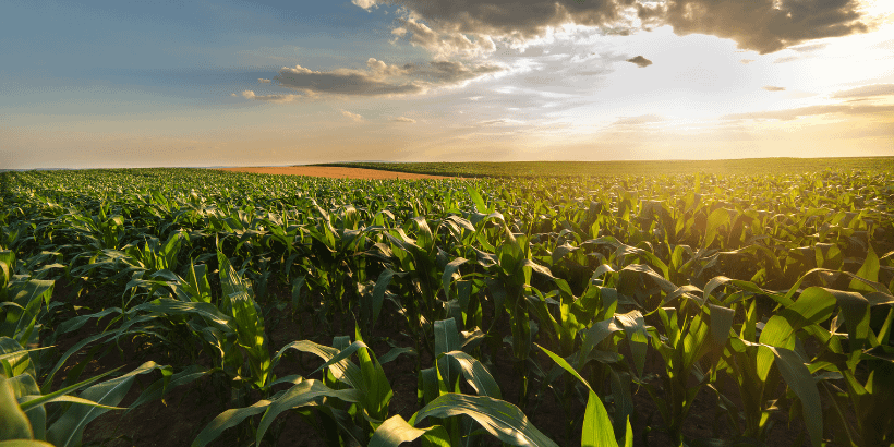 agriculture_banner history of agriculture