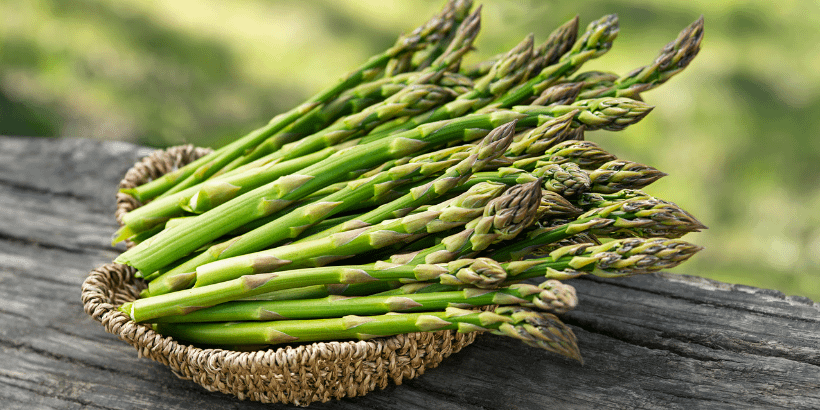 asparagus_banner_canva asparagus