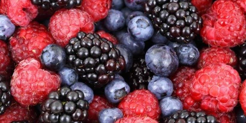 berries-feature-bannersnack berries