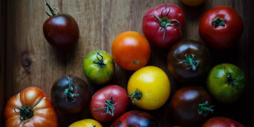 tomato_BS tomato