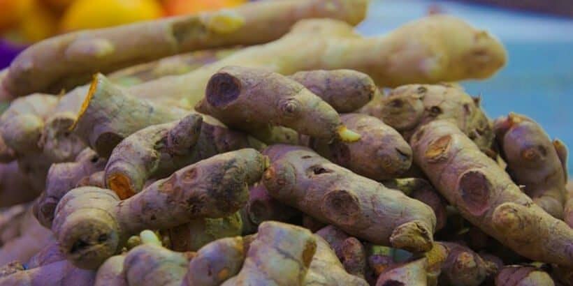 cancer_tumeric_bannersnack tumeric