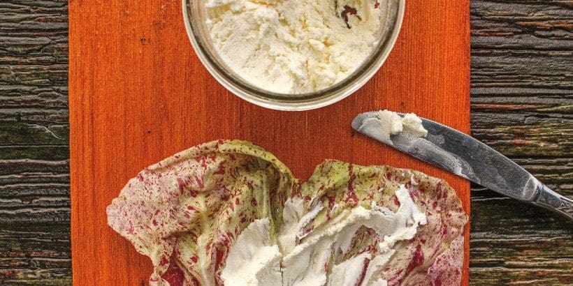 chevre_banner_artofnaturalcheesemaking-book chevre_banner_artofnaturalcheesemaking-book