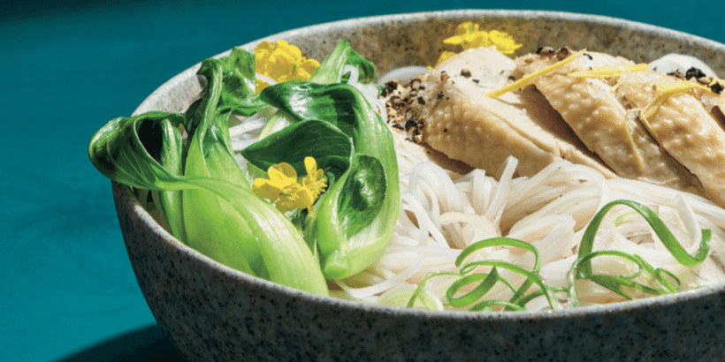 chickennoodlebanner_nourishingasiankitchen_book chicken noodle soup