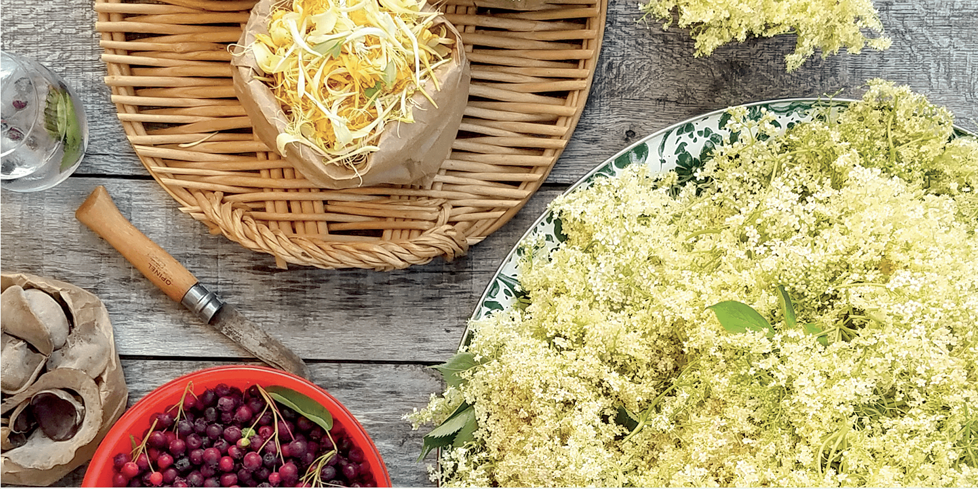 forageharvestfeastelderflower forageharvestfeastelderflower