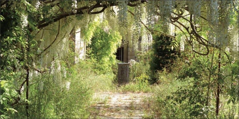 gardendesign_ecologicalgardener_book gardendesign_ecologicalgardener_book