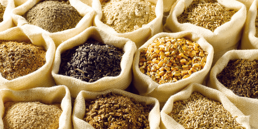grainstorage_canva grain storage