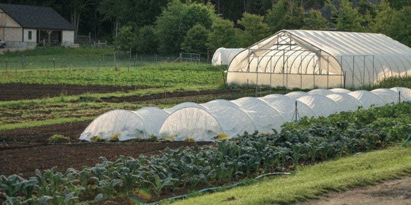 greenhouse_banner_NewOrganicGrower_book extend the growing season
