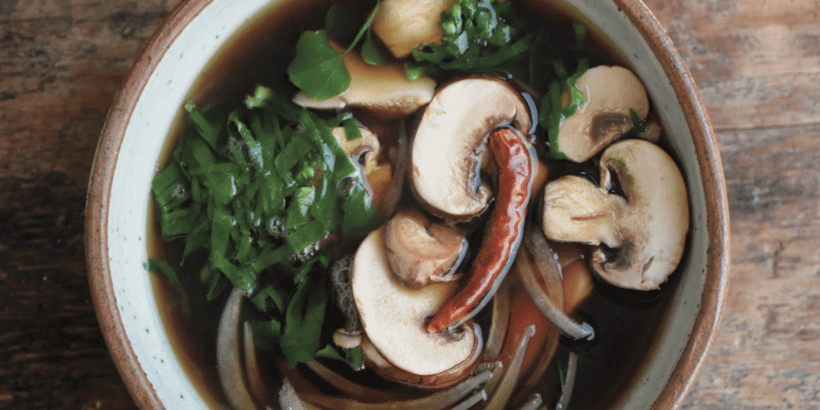 mushroomsoup_banner_wildcraftedvinegars_book vinegar in soup