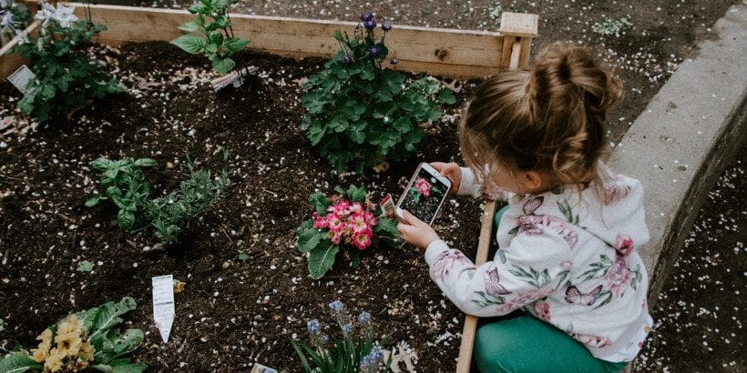 nutrient rich soil young girl taking a picture of plants in soil bed