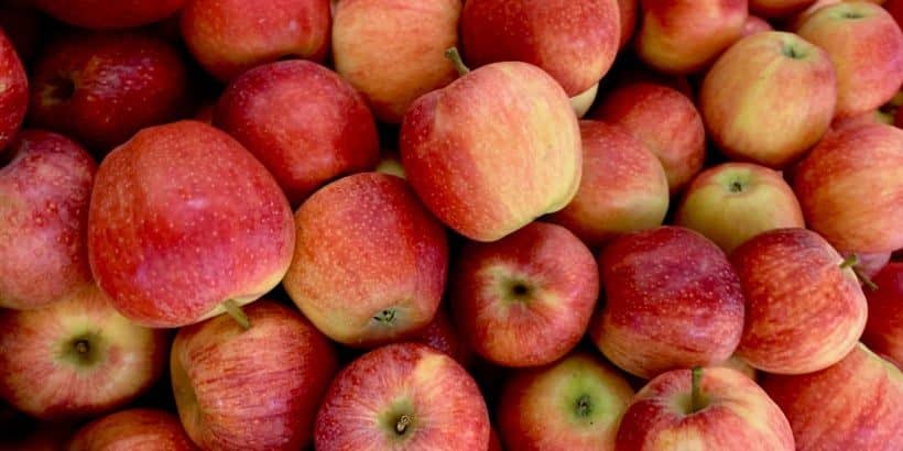 regengrower-feature-bannersnack apples