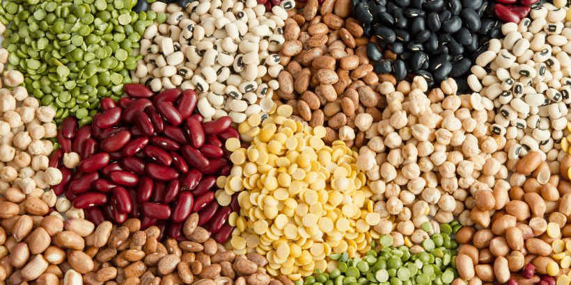 seeds_banner_seeddetecttive_canva seed detective