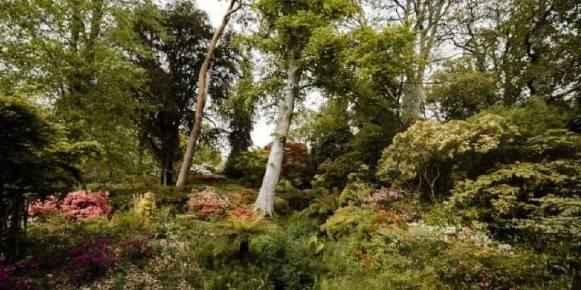 sevenlayers_homescale_book forest garden seven layers