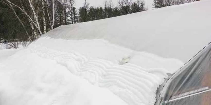 snowoncar_banner_greenhousehoophouse_book snow