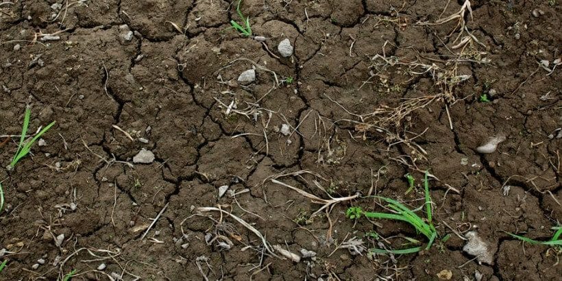 soil soil