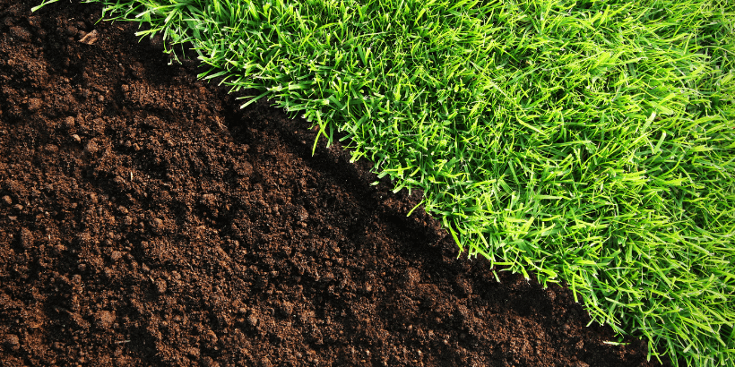 soil_banner_canva soil health