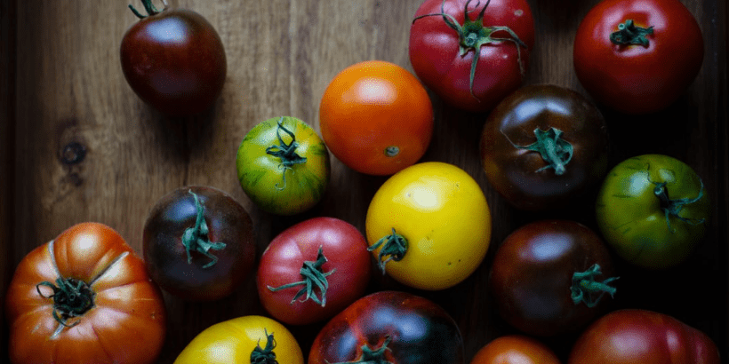 tomatoes_banner_toxiclegacy_bannersnack health