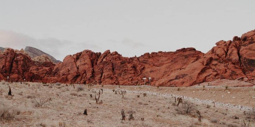 water in plain sight_desert_bannersnack desert