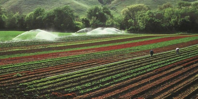 water in plain sight_irrigation banner_bannersnack irrigation system and farmland