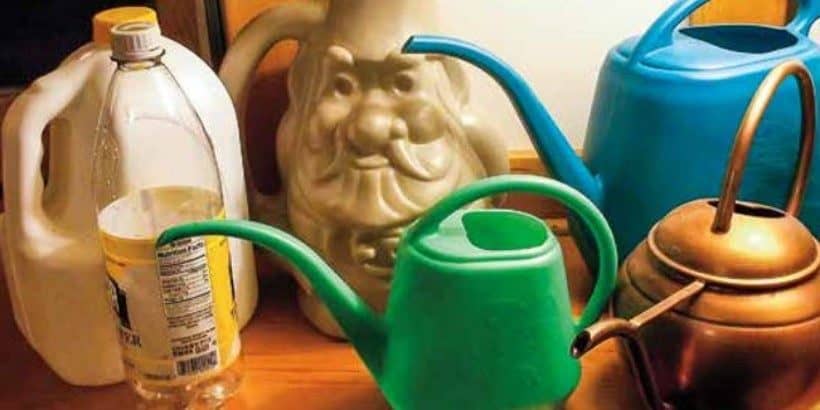 wateringcans_indoorsaladgardening_book gardening tools