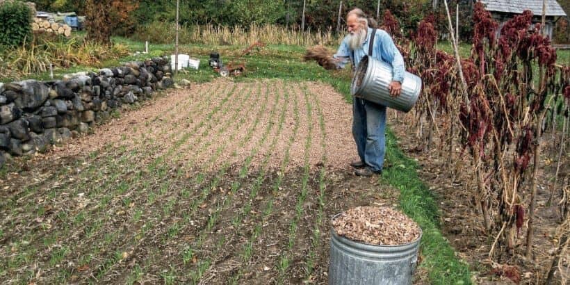 leafmulch_banner_WillBonsallsGuide_book fallen leaves