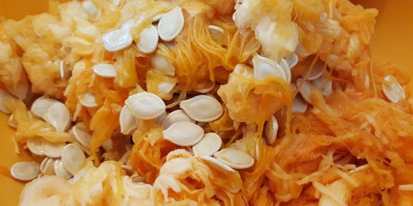 pumpkinseeds_banner_unsplash pumpkin seeds