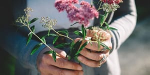 pinching flowers