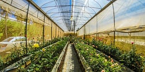 greenhouse on a slope