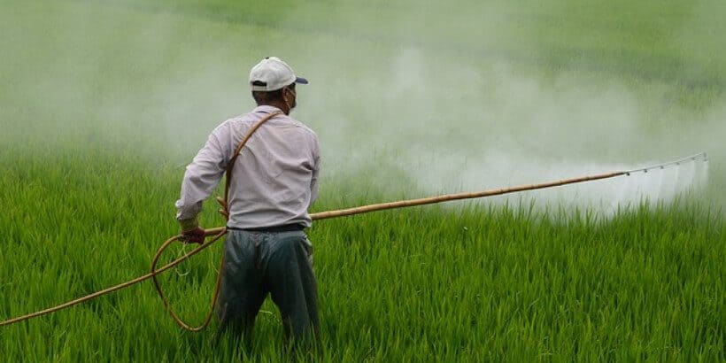 bs-pesticide-banner spraying pesticides