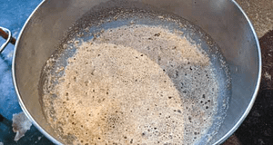 salt-rising bread